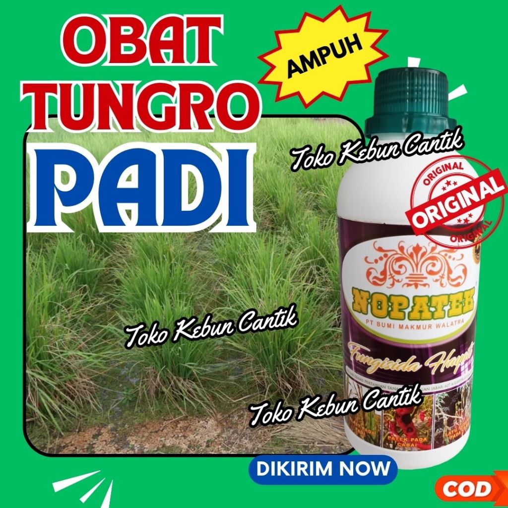 NOPATEK 500ml Obat Tungro Padi Aman Tanpa Kimia