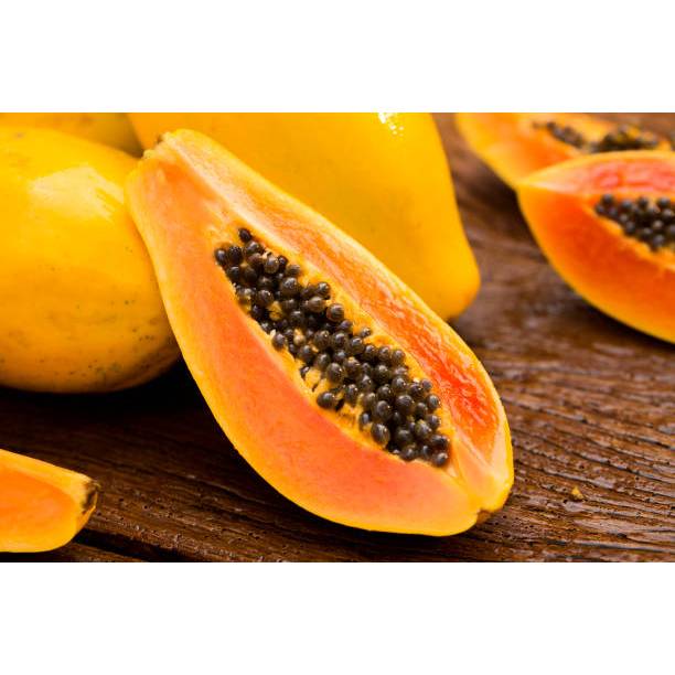 SIAP TANAM BENIH BUAH PEPAYA BANGKOK