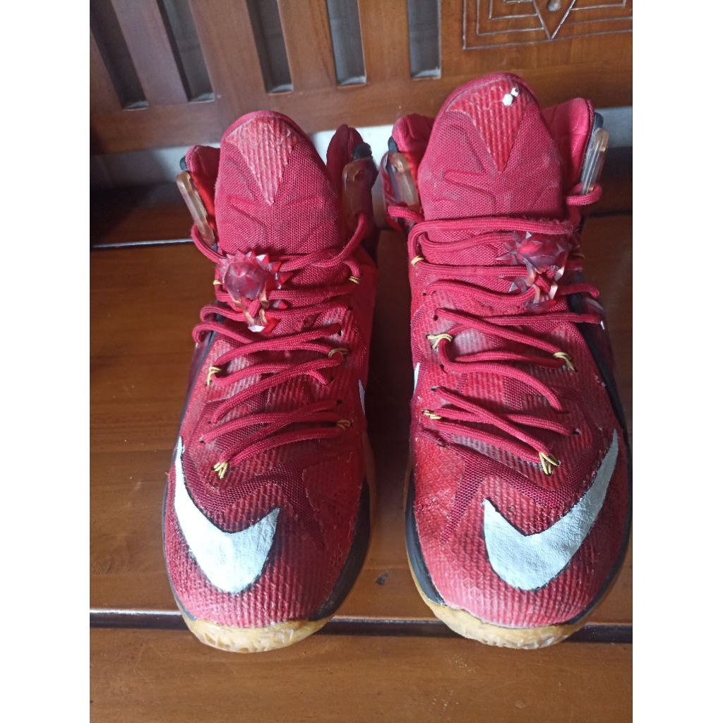 NIKE Lebron size 45 (29cm)