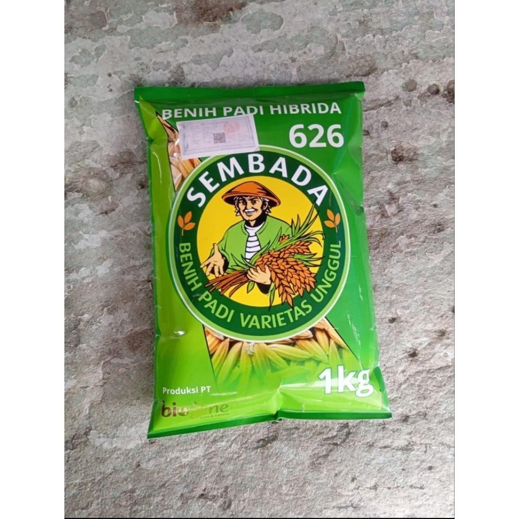(1KG)BENIH PADI HIBRIDA SEMBADA 626