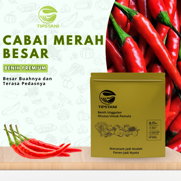 Benih Cabai Merah Besar Premium - Biji Cabe Unggul Super Lebat - Bibit Cabai Besar Tahan Virus & Pen