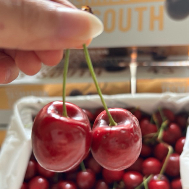 Cherry Fresh TASMANIA 43Degree 250gr