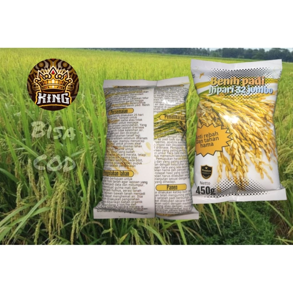 BENIH PADI INFARI 32 JUMBO 450gr