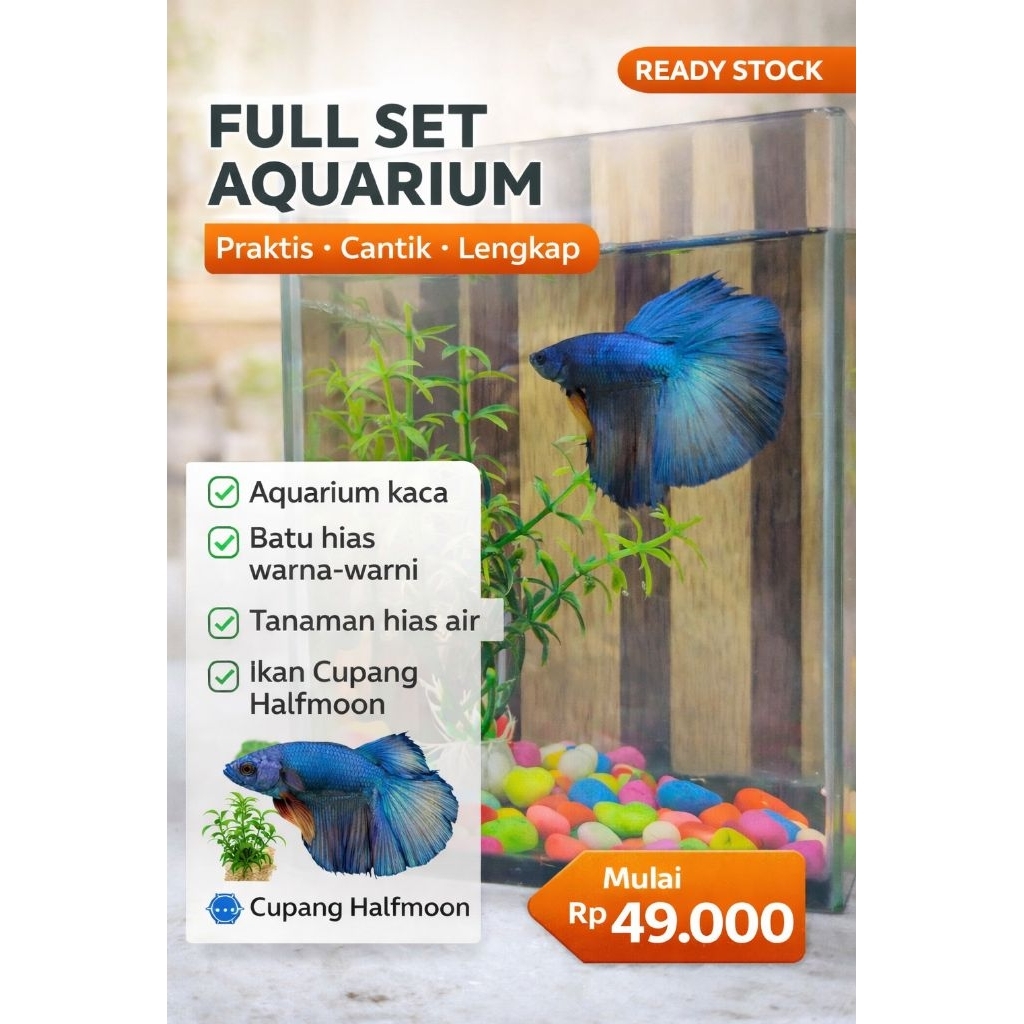 Aquarium fullset + batu hias + tanaman hias + Ikan cupang halfmoon