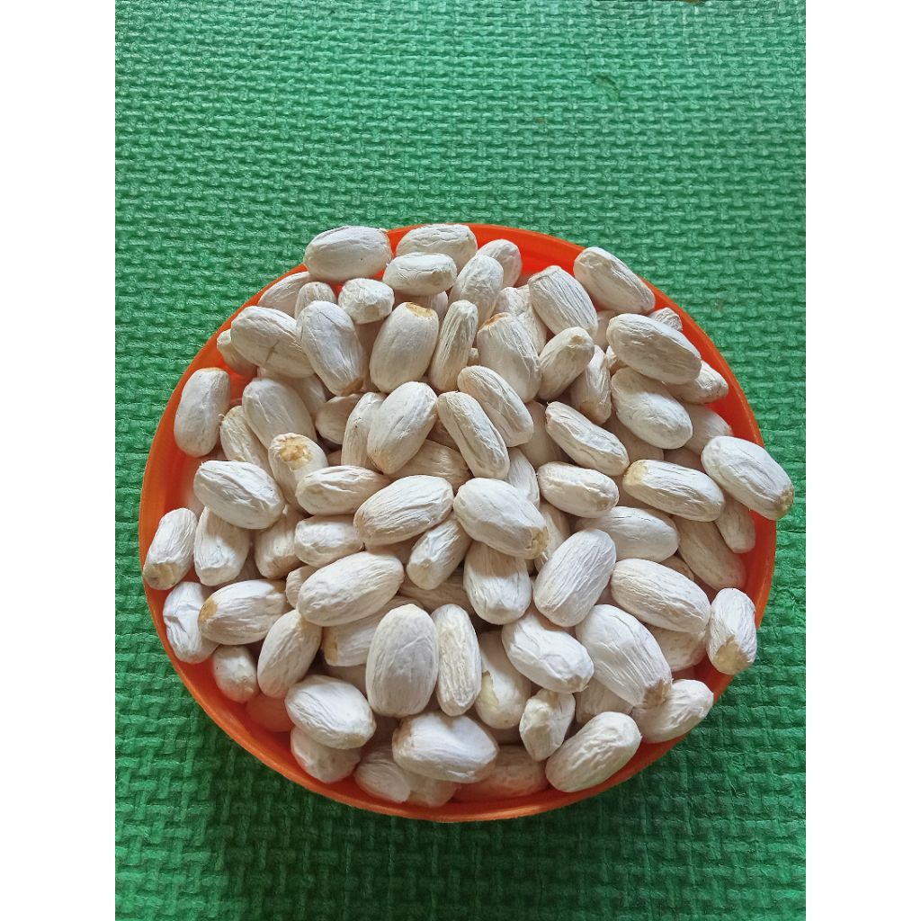 150 biji jarak kupas umpan gacor mancing bawal umpan jitu mancing bawal umpan galatama bawal umpan m