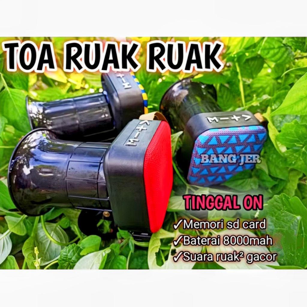 TOA RUAK RUAK TOA BERBURU JERAT RUAK RUAK MP3