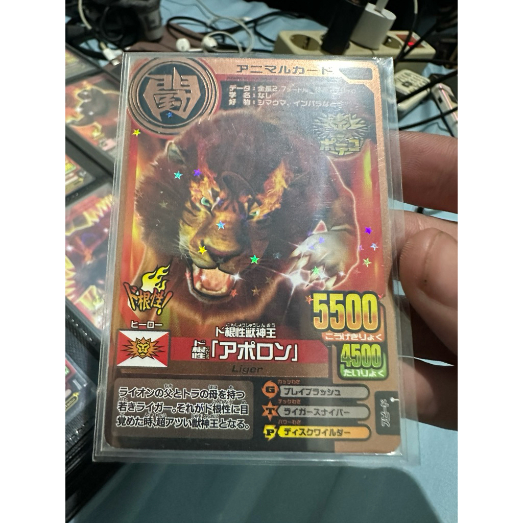 animal kaiser courageous apollo