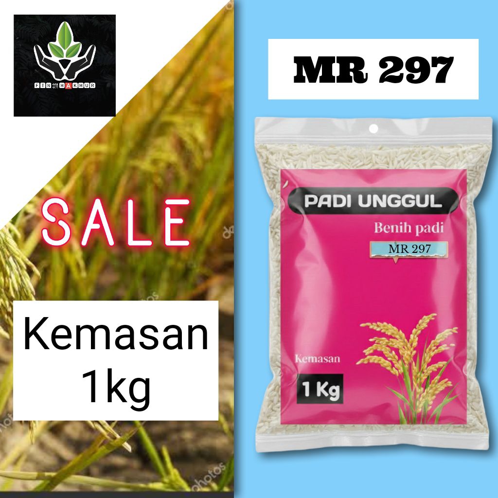 BIBIT PADI UNGGUL MR 297 ORIGINAL KUALITAS PREMIUM KEMASAN 1 KG