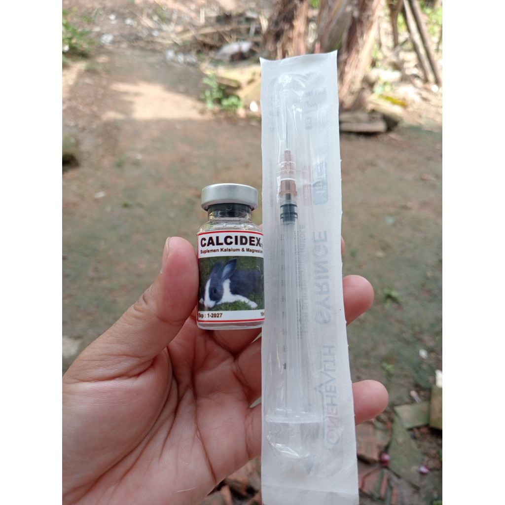 CALCIDEK obat inject 10 ml untuk kambing dan sapi ngebrok ,lemas,lumpuh Atau kaki kambing dan sapi y