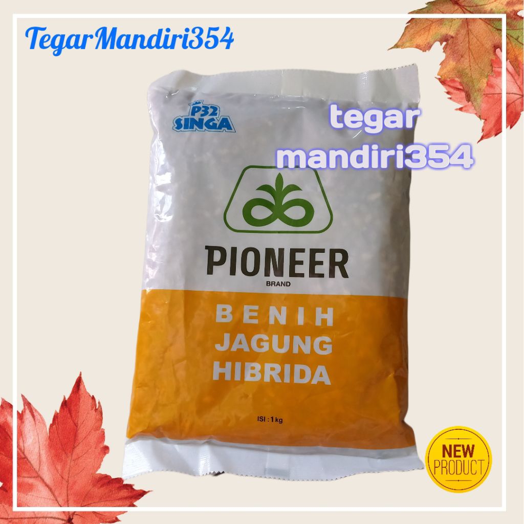 benih jagung p32 singa 1kg jagung hibrida pioner 32 singa kemasan 1kg an