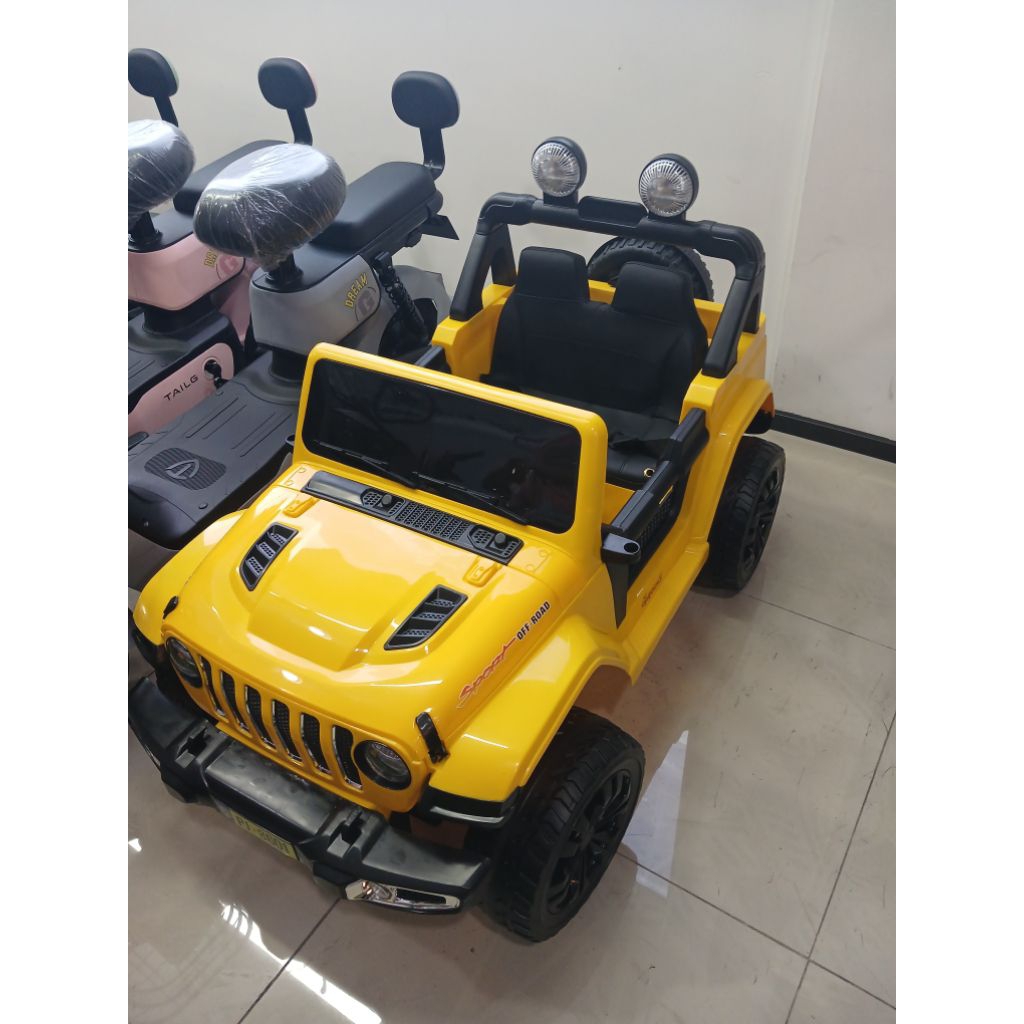 mobil aki jeep  exotic