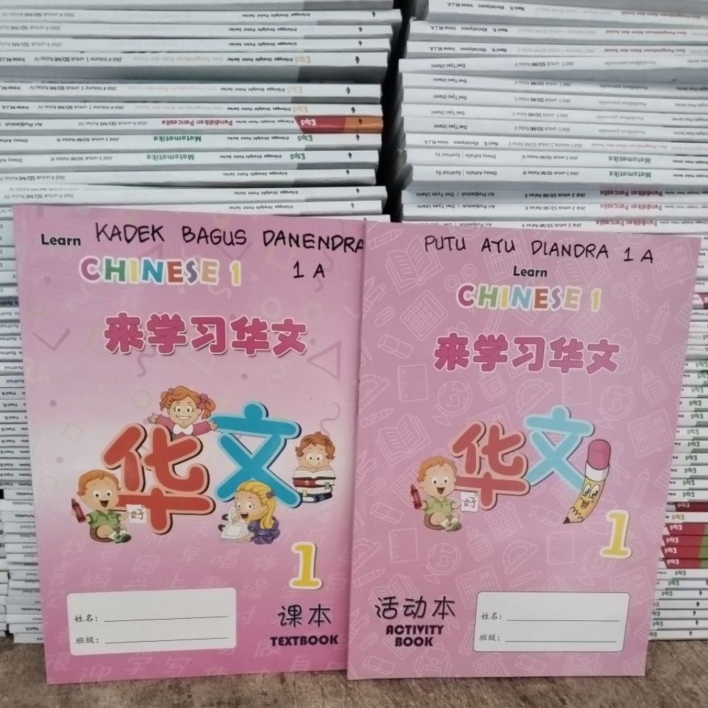Learn CHINESE 1 TEXTBOOK / Activity Book (insight Publishing)
