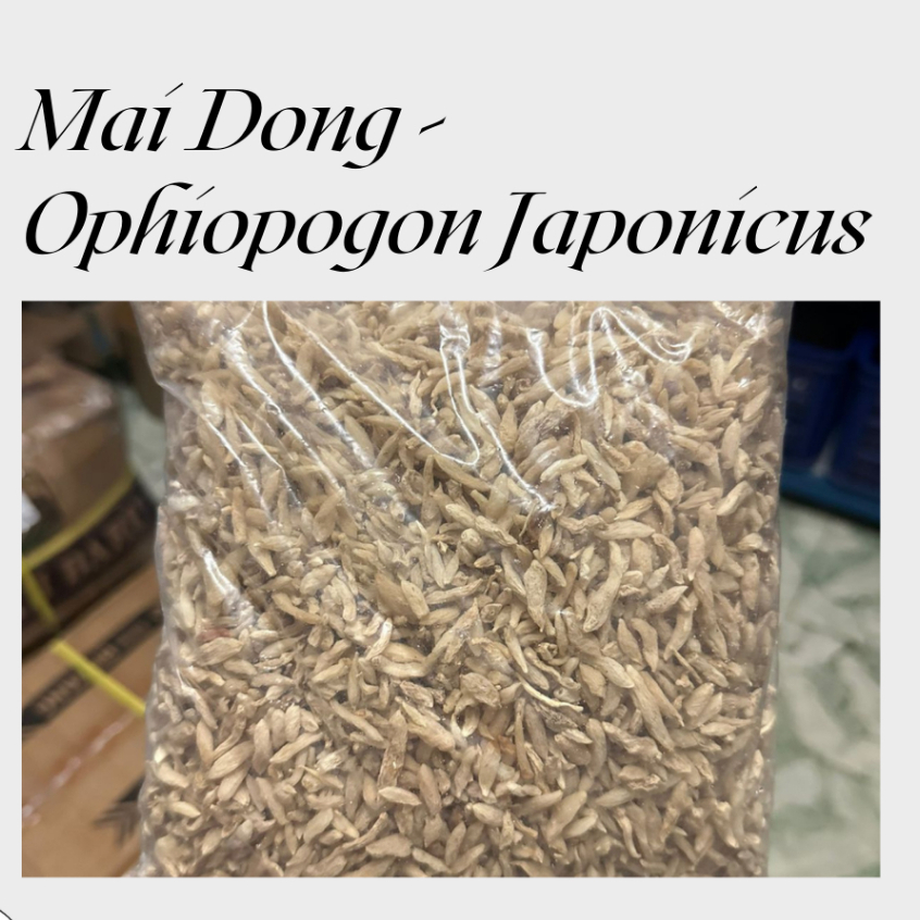 Mai dong / mai men dong / Ophiopogon japonicus (100gr)