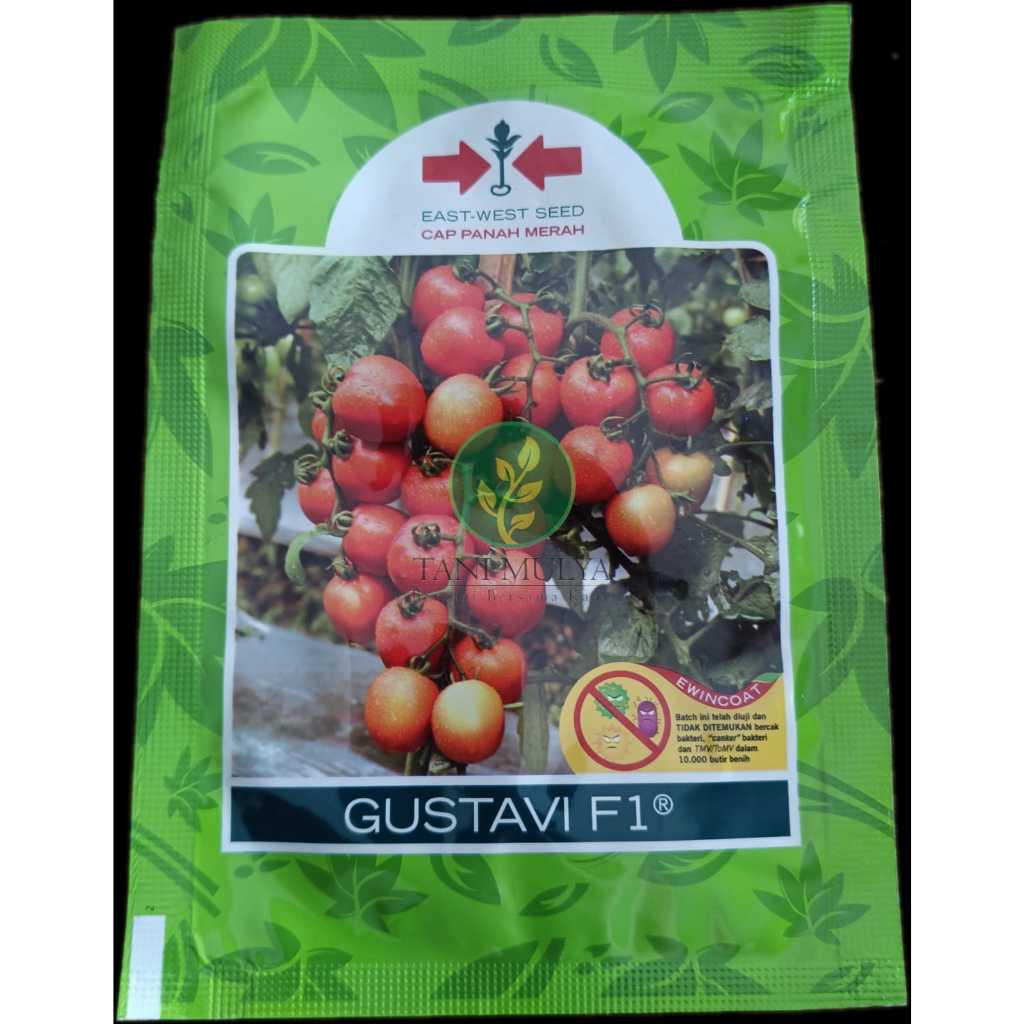 BENIH TOMAT GUSTAVI F1
