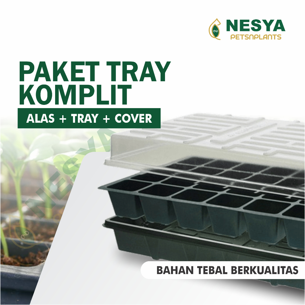 Paket Tray Semai Alas Tray Cover Tutup Tray Semai - Tray Semai