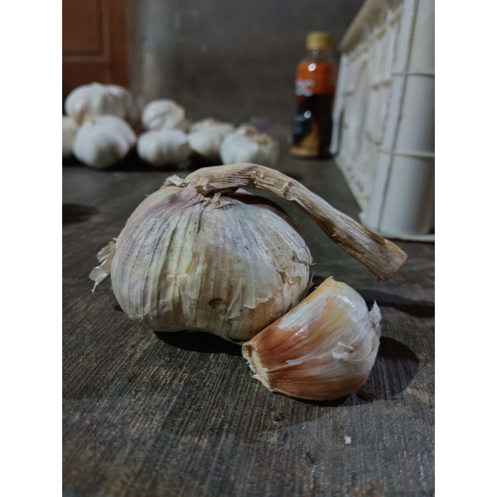 Bawang Putih Sinco Kotor 1 kg