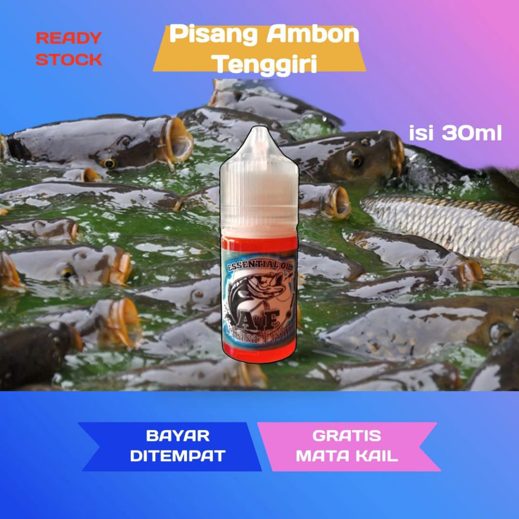 Essen Ikan Nila cocok ikan rame dan induk