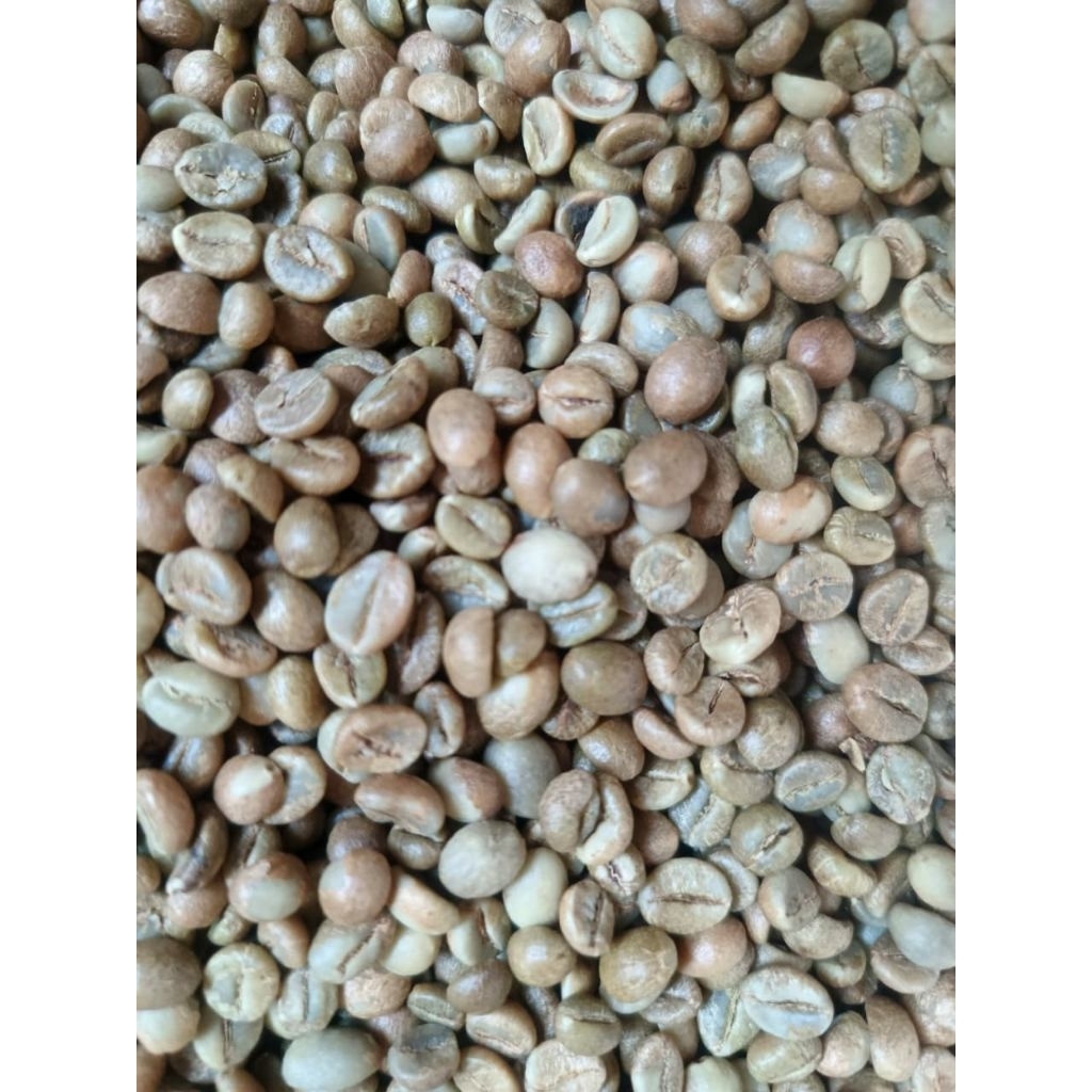 GREENBEAN KOPI ROBUSTA JAVA origin biji kopi mentah ROBUSTA 1kg