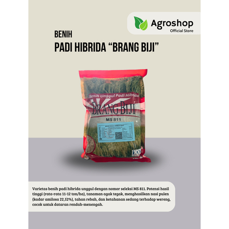 Benih Padi Hibrida BRANG BIJI Pulen, Wangi