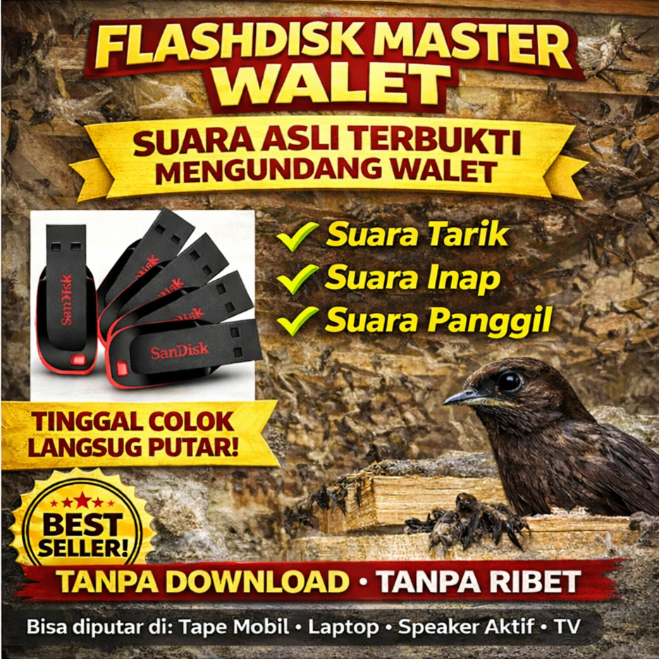 (COD) REKAMAN FLASHDISK SUARA WALET SUPER RESPON–SUARA TARIK INAP PANGGIL–TANPA DOWNLOAD–SIAP PAKAI–