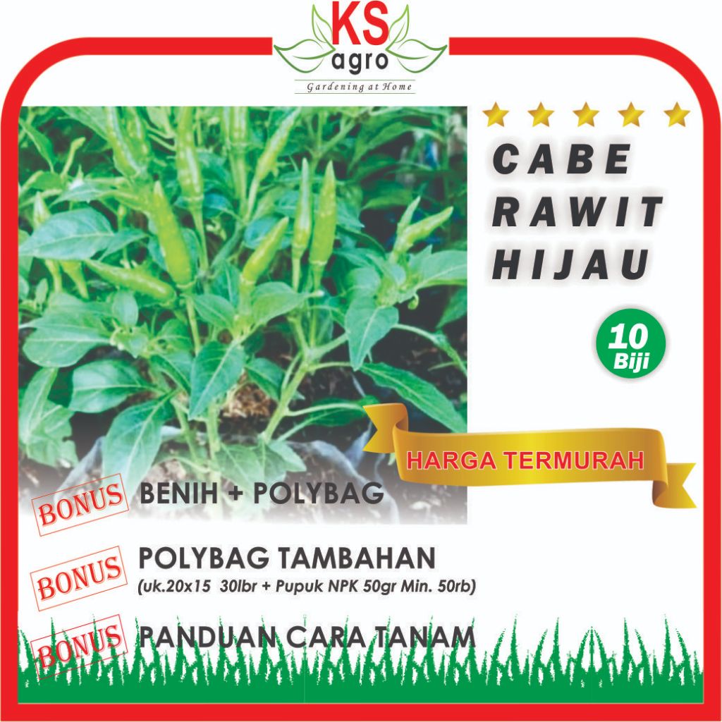 BENIH CABE RAWIT HIJAU F1 PEDAS TAHAN PENYAKIT BIBIT SAYURAN UNGGUL