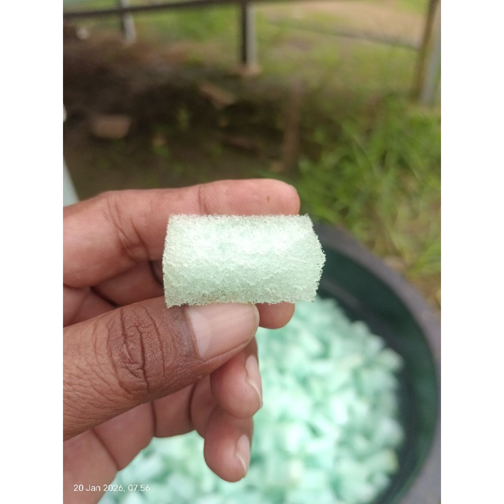 Busa Semai Seledri hidroponik 1500 biji