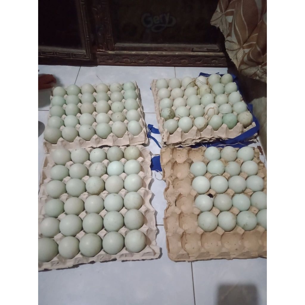 Telur Bebek Mentah Segar dengan Kuning Telur Omega Orange