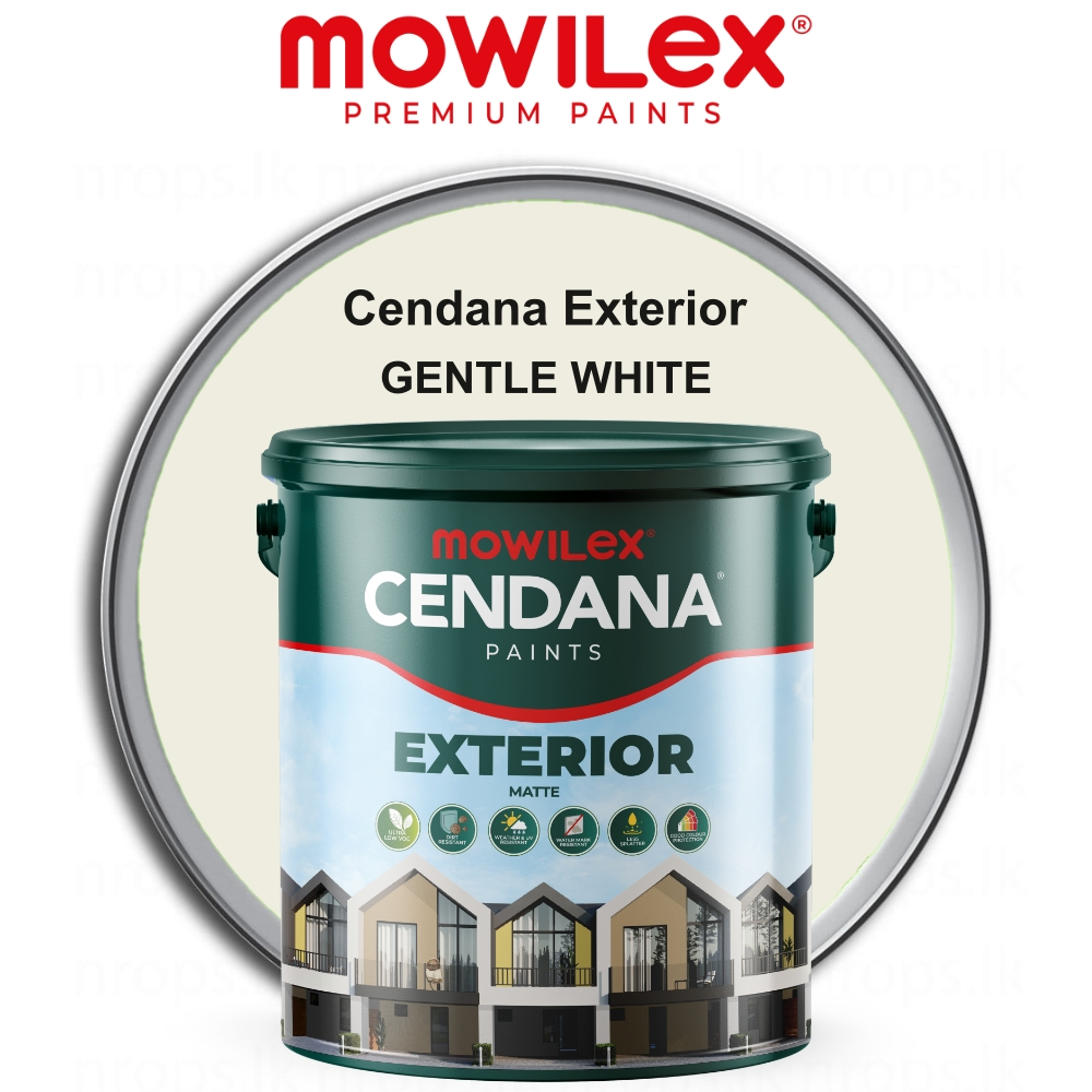 MOWILEX CENDANA EXTERIOR C-111 GENTLE WHITE - 5 KG