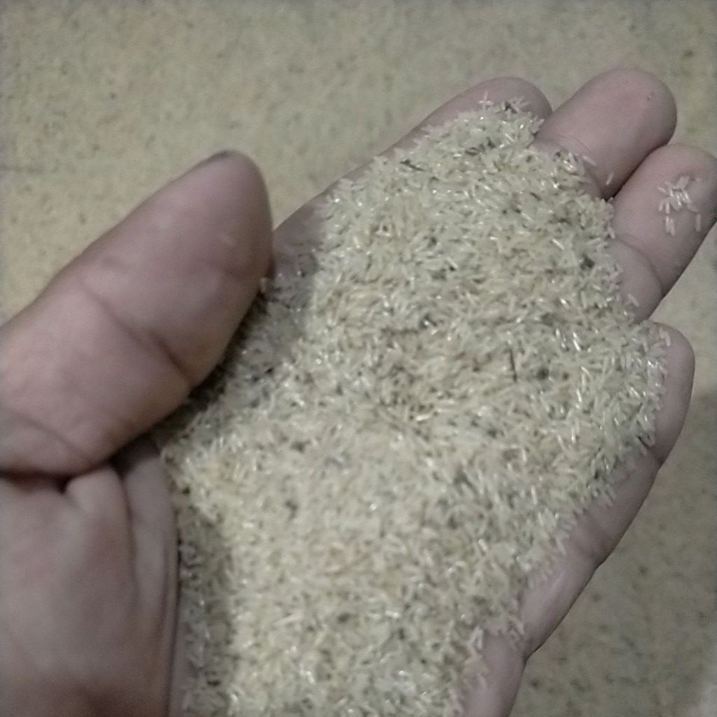 telur jangkrik madu kunyit