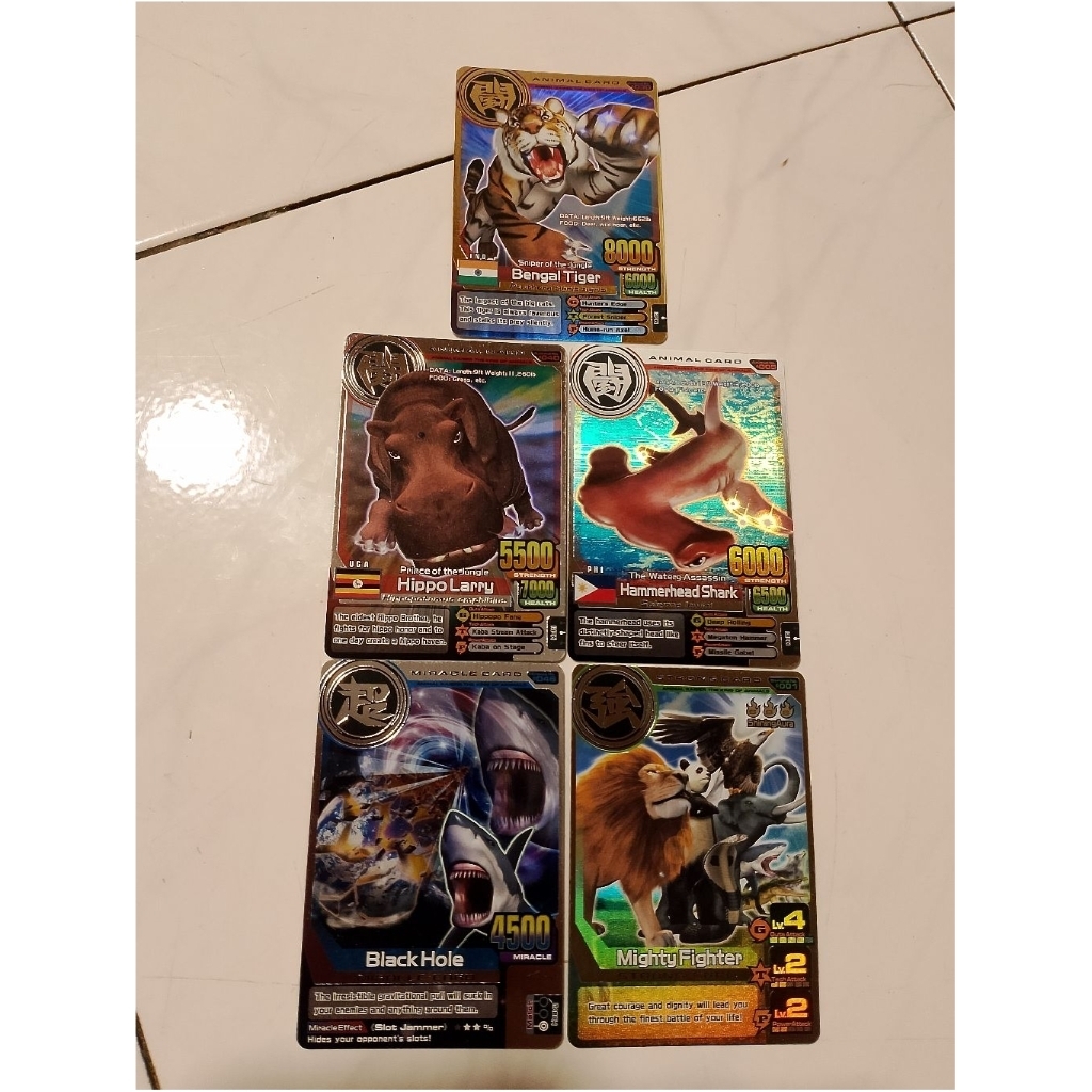 Animal kaiser plus versi 2. Paket GOLD BENGAL