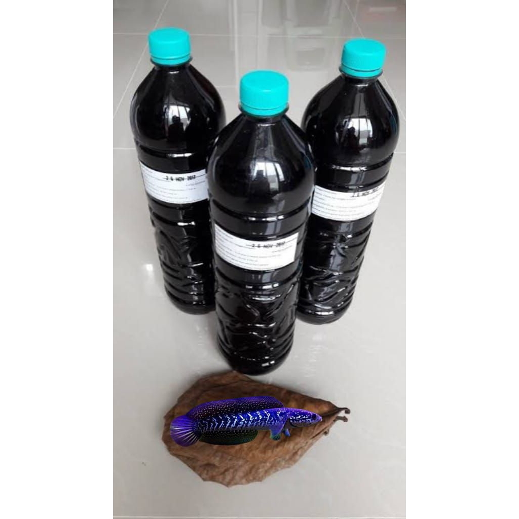 exstrak ketapang asiatica ws 6-7cm pket 5pcs