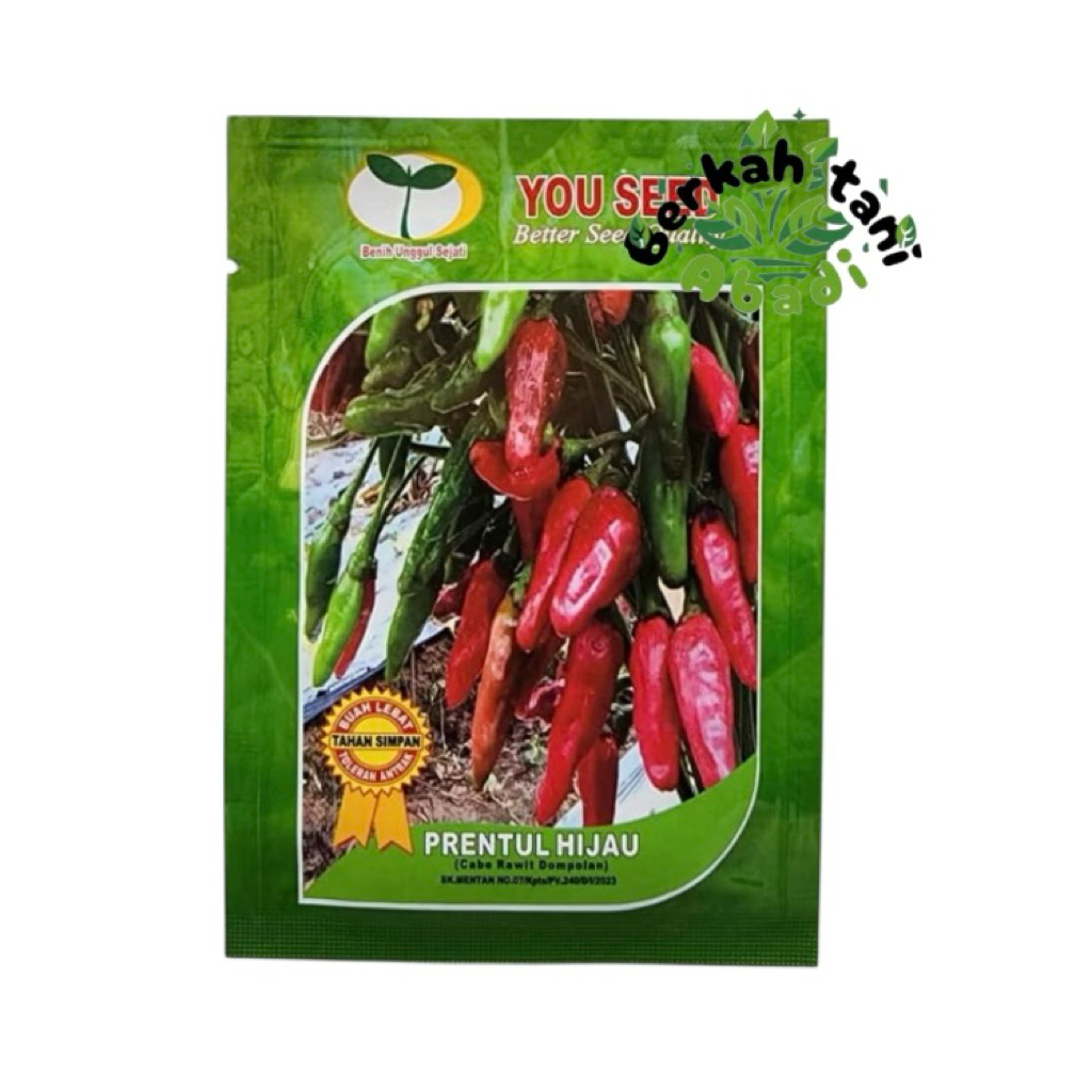 prentul hijau bibit cabai you seed
