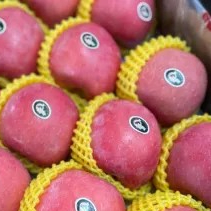 apel fuji premium wider ways (2 buah)