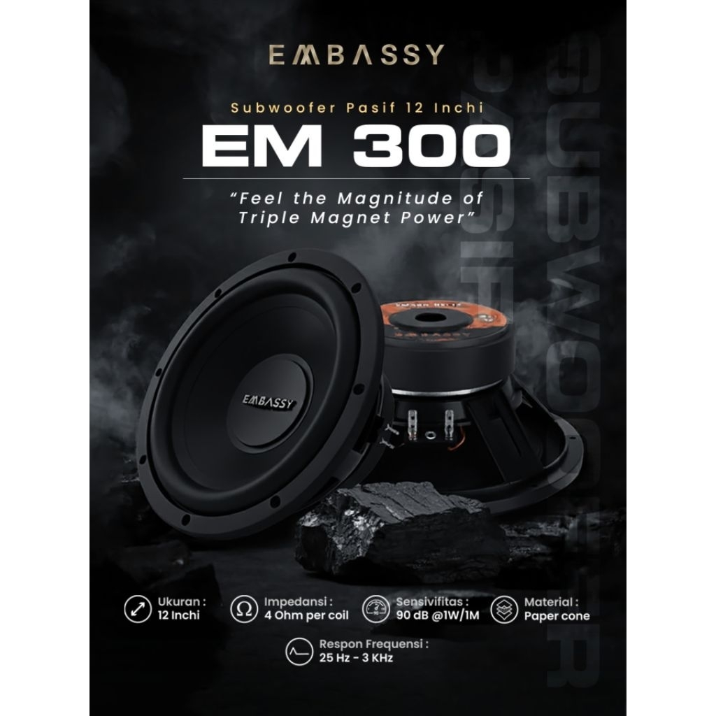 Subwoofer 12inch Embassy EM300 New, Triple Magnet