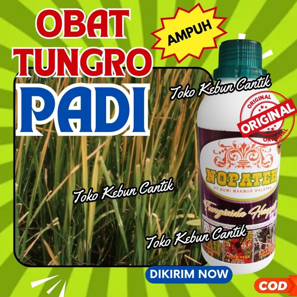 NOPATEK 500ml Obat Blast Padi Sawah Ramah Lingkungan