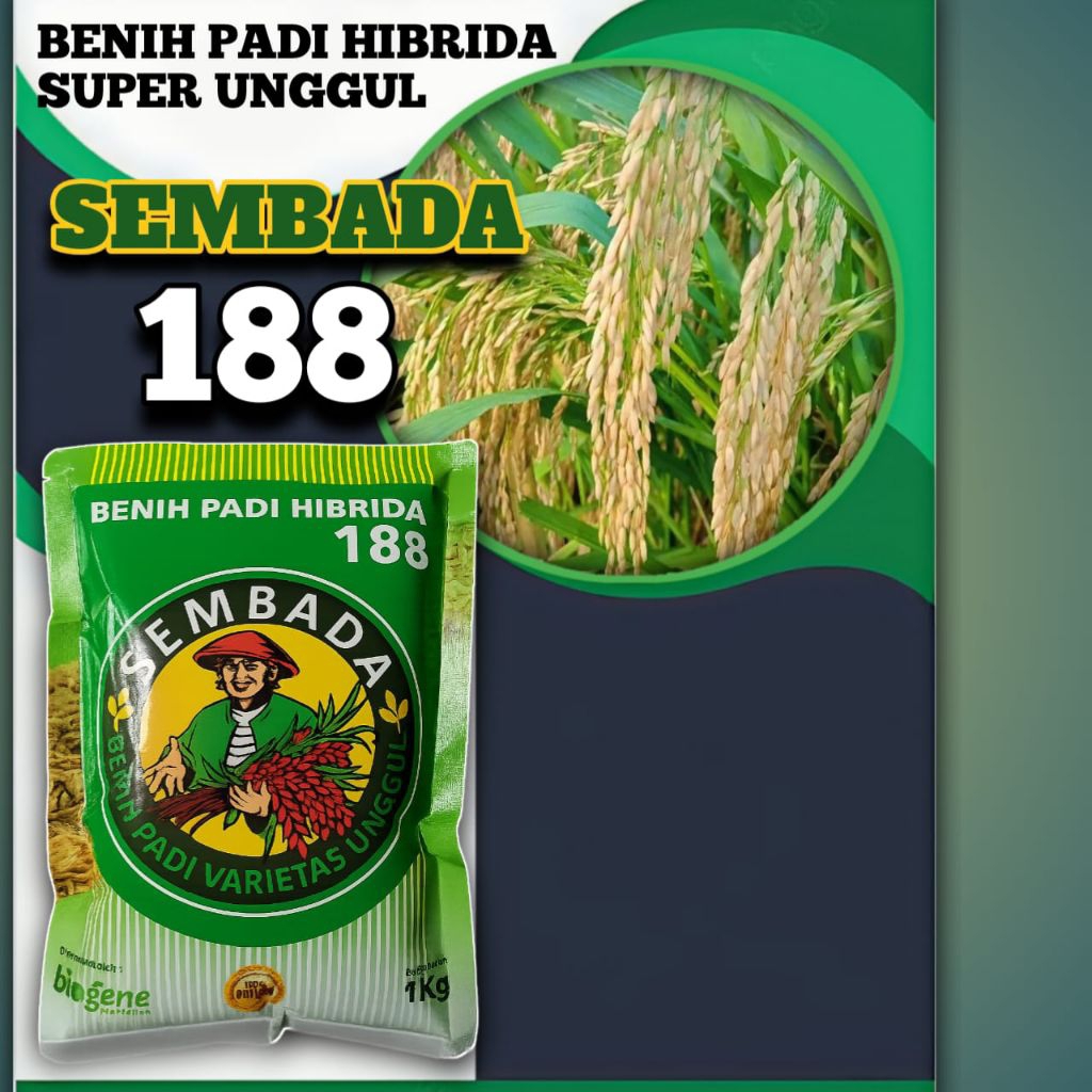 benih padi sembada 188 kemasan 1kg