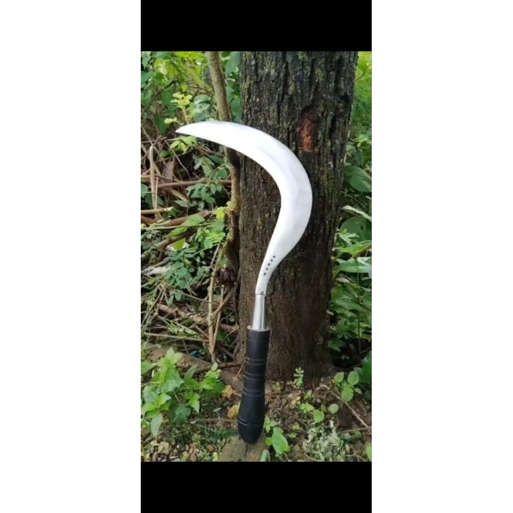 Arit/sabit rumput bintang5 khas Madura