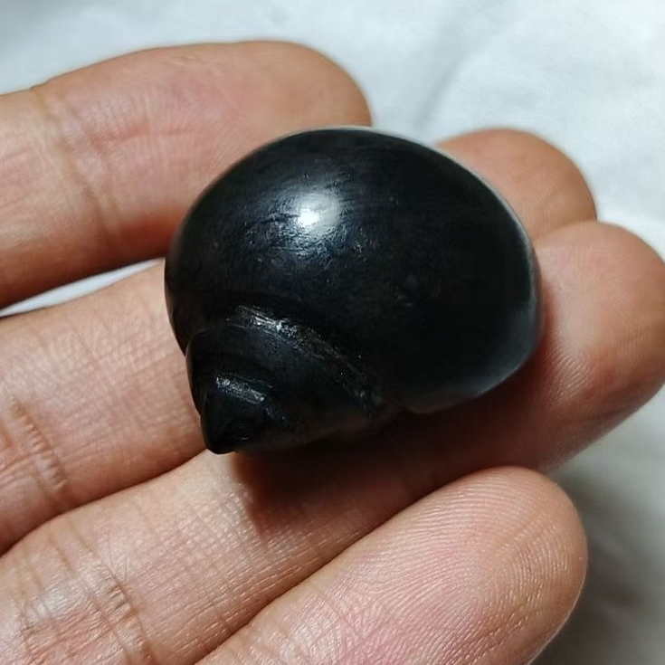 Batu alam batu keong warna hitam polos