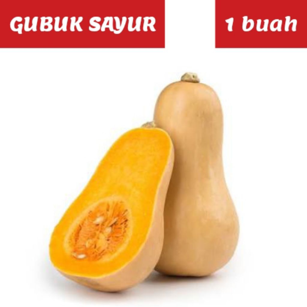 Butternut / Labu madu / Labu botol 1 buah