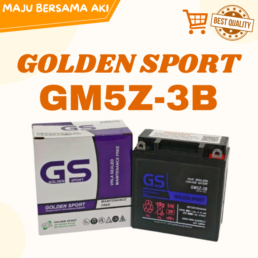 Aki Motor Yamaha Vega R, Vega ZR GM5Z-3B GS MF