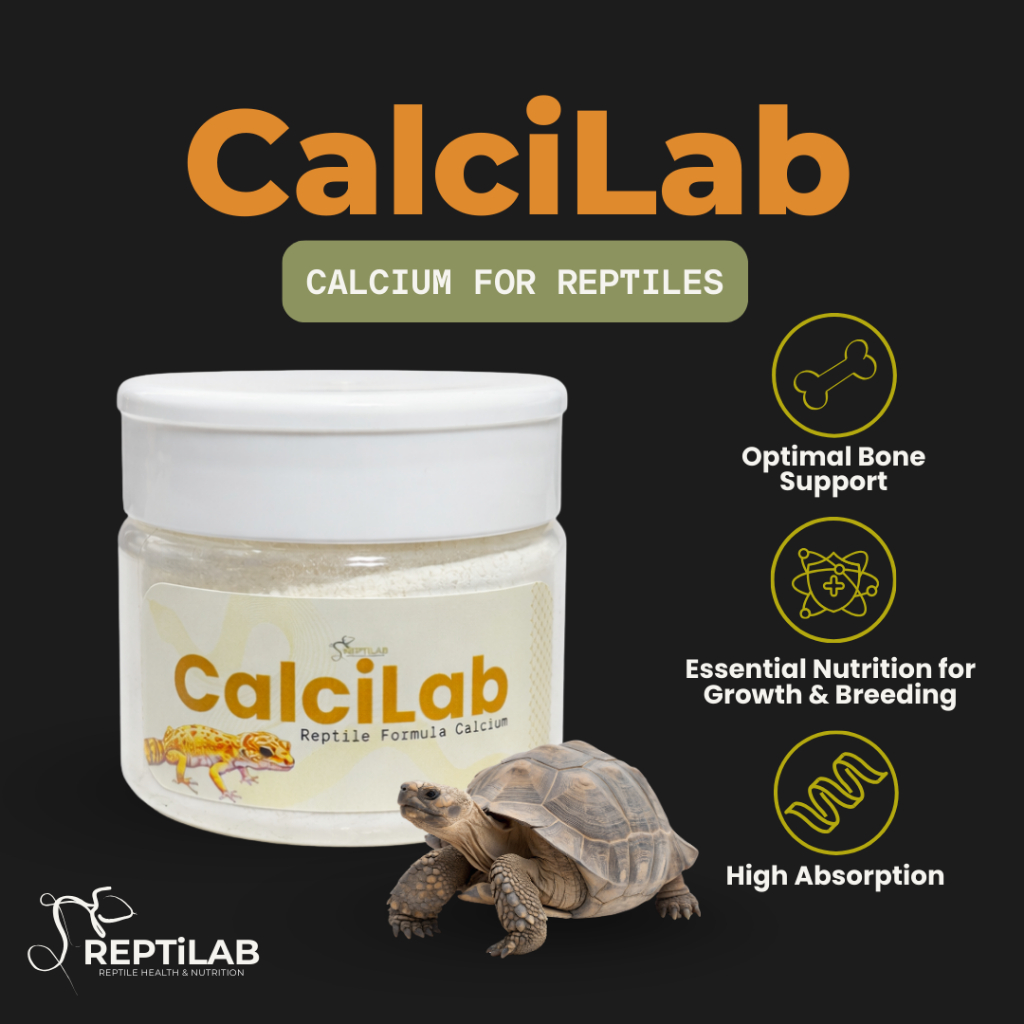 REPTILAB CALCILAB - Calcium Reptile Tanpa D3 | Aman Harian untuk Chameleon Gecko Bearded Dragon Pacm
