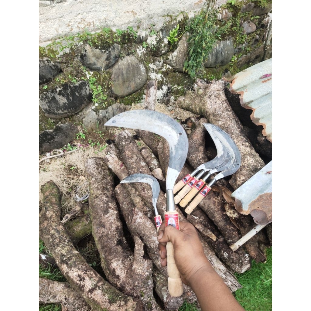 Sabit arit padi dan rumput kualitas lebar besar