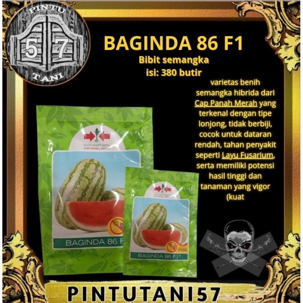 BAGINDA 86 F1 380 butir
