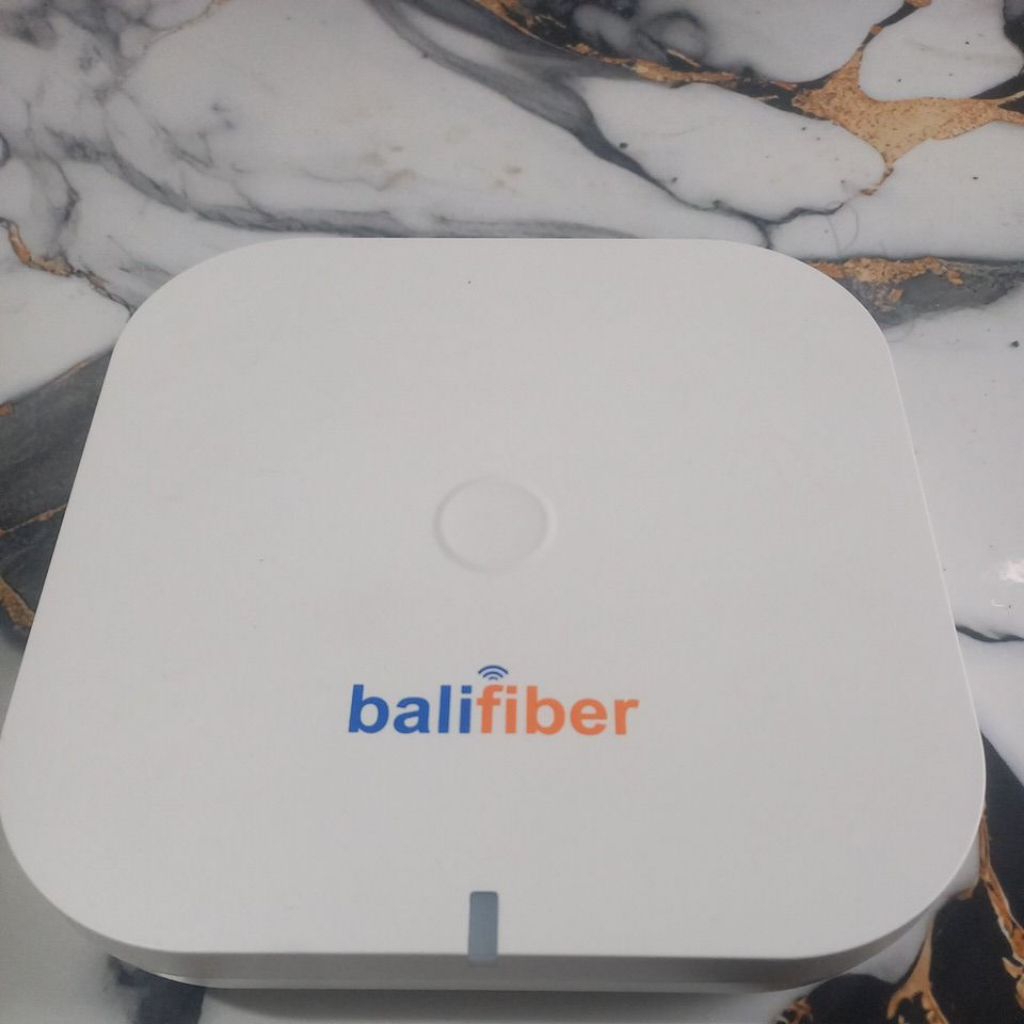 ACCESS POINT WPX8324-BT