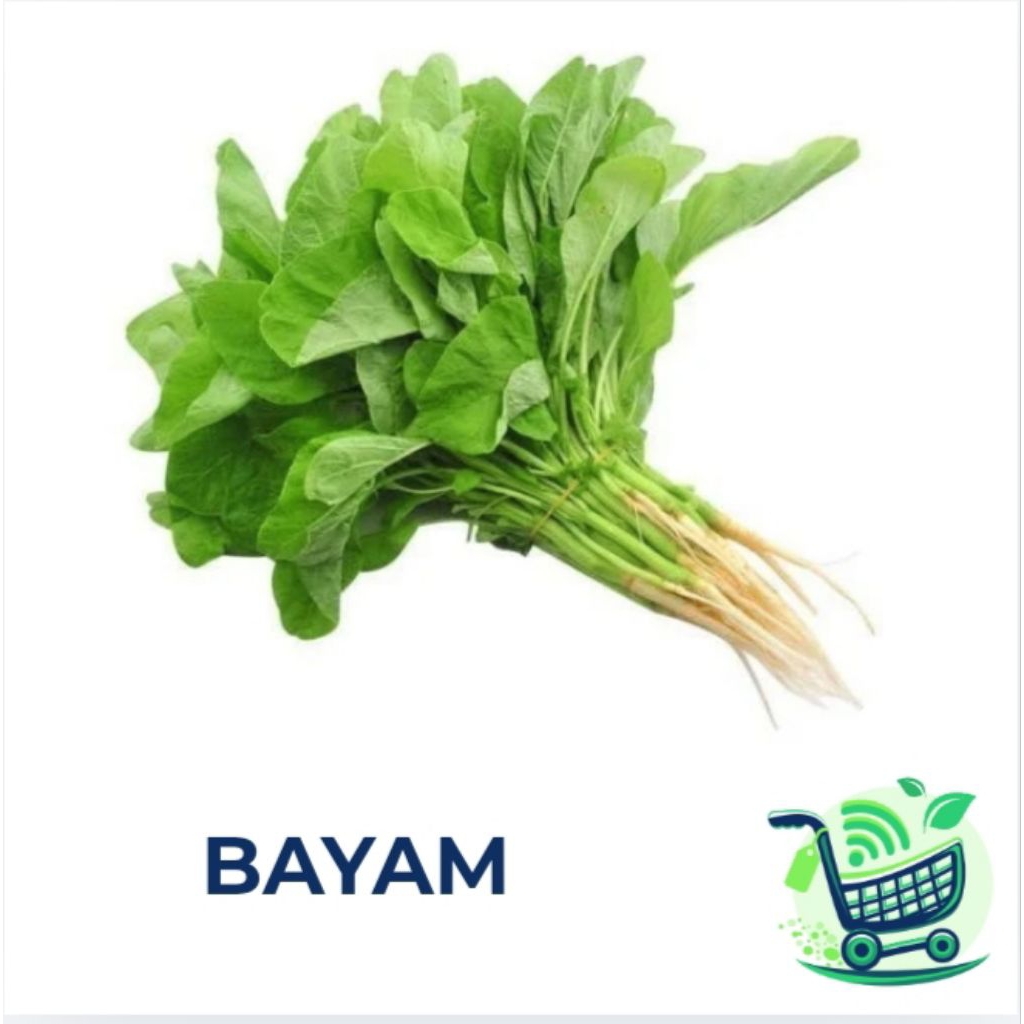 SAYUR BAYAM 1 IKAT (FRESH) INSTAN SEMARANG