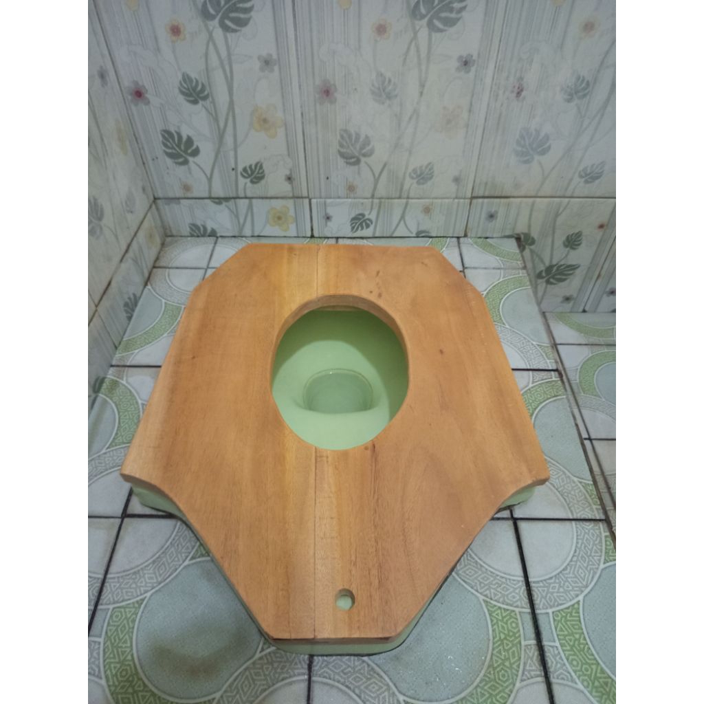 dudukan closet duduk anak