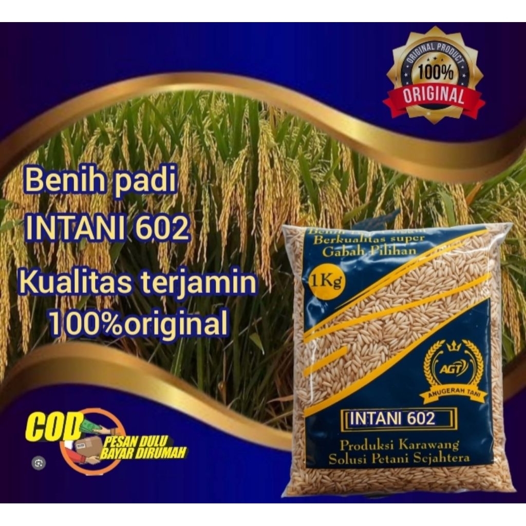 benih padi hibrida intani 602 / sridewi kemasan 1kg