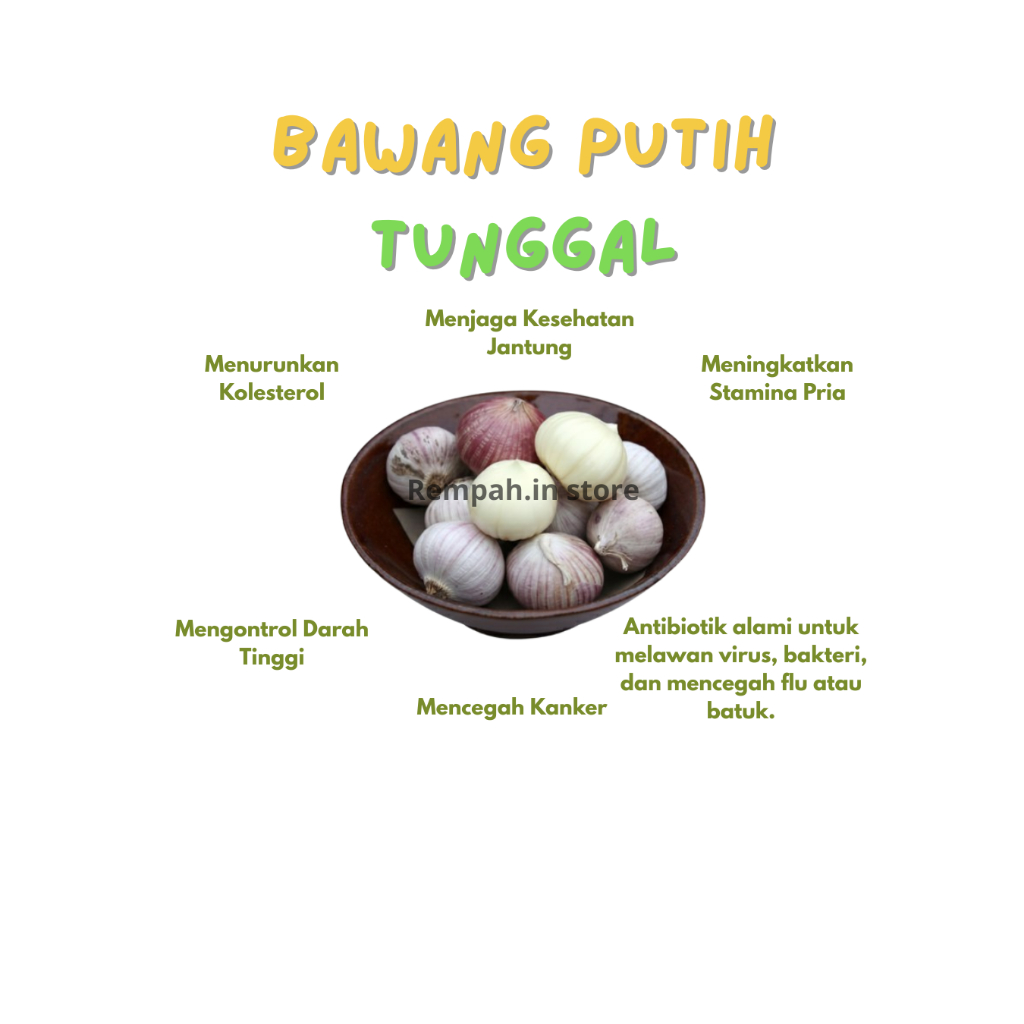 Bawang Tunggal Bawang Putih Tunggal Bawang Lanang Bawang Lanang Besar Bawang lanag Super Bawang Tung