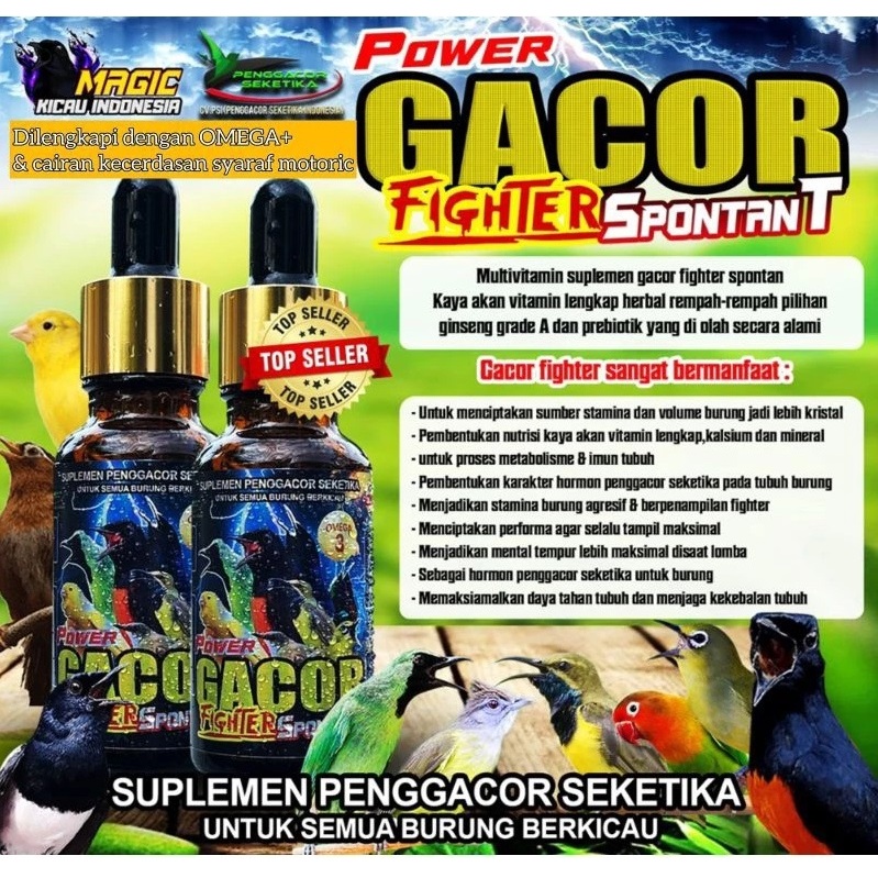 Power Gacor Fighter Spontan PENGGACOR  untuk semua Burung kicau BEST SELLER