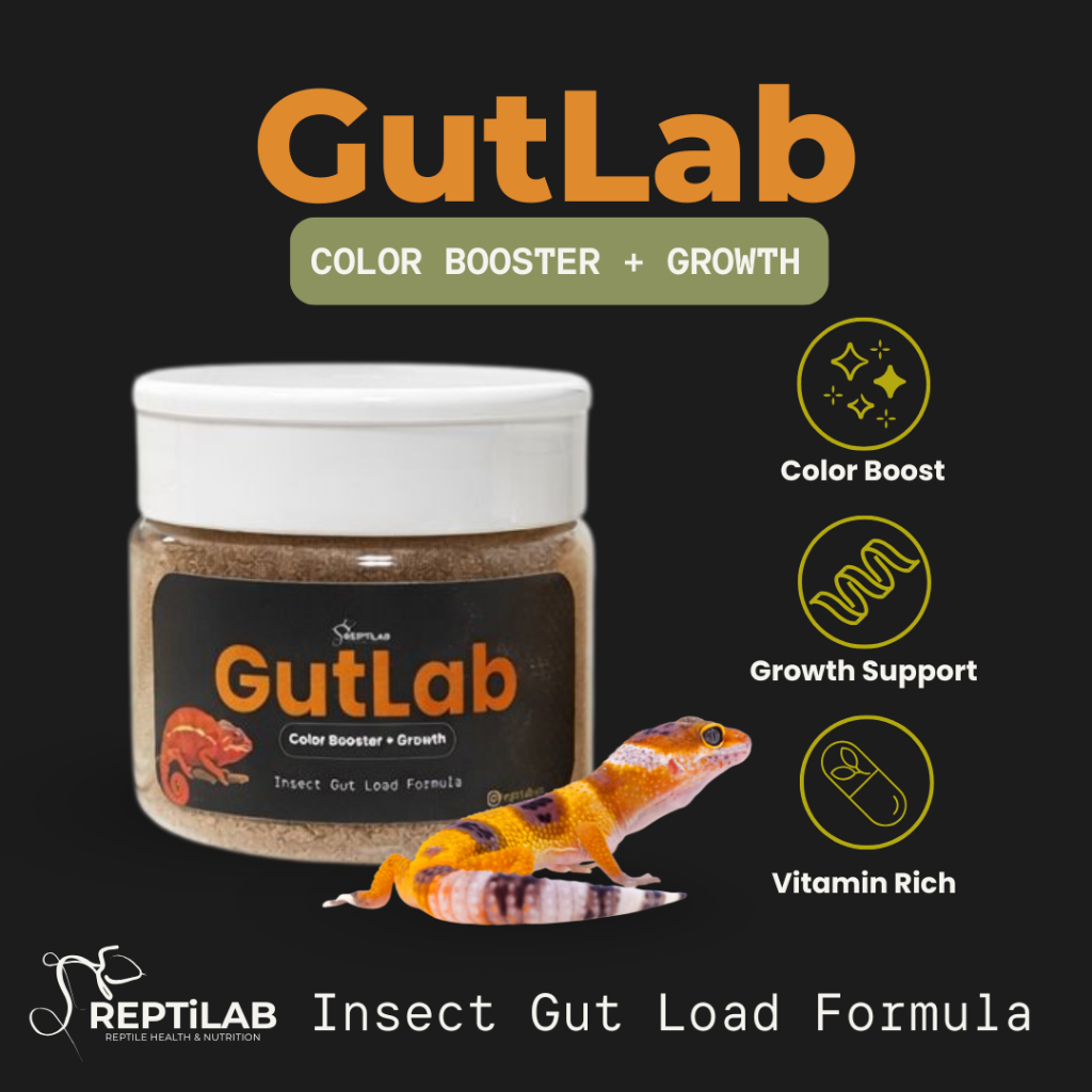 REPTILAB GUTLAB Gutload Reptil | Color Booster & Growth |untuk warna & pertumbuhan | Chameleon Gecko